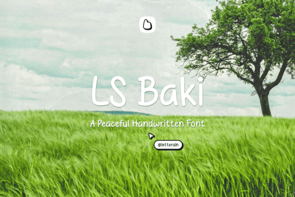 Ls Baki Review: A Designer’s Take on This Script Amp
