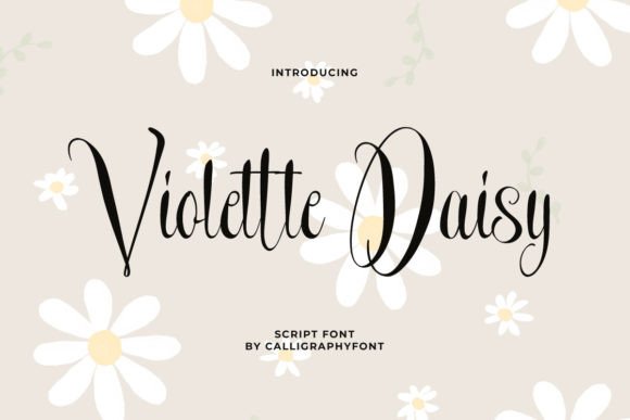 Violette Daisy Font Review